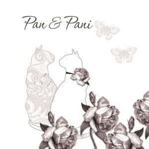 KARNET SWAROVSKI KWADRAT CL0101_BL KOTY I MOTYLE