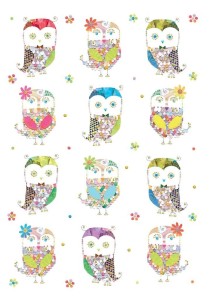 KARNET B6 + KOPERTA SÓWKI