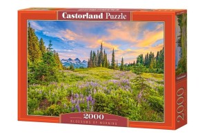 PUZZLE 2000 BLOSSOMS OF MORNING, CASTORLAND