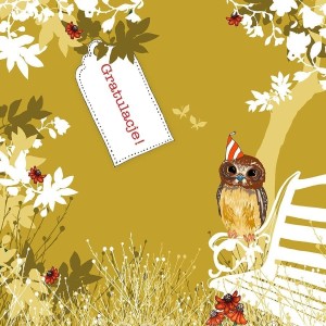 KARNET SWAROVSKI KWADRAT CL3410 GRATULACJE! SOWA