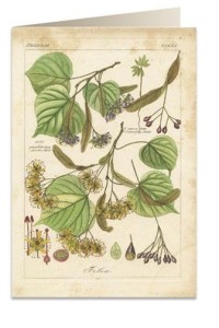 KARNET B6 + KOPERTA 6056 LIPA