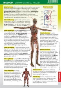 ŚCIĄGAWKA - BIOLOGIA - BUDOWA CZŁOWIEKA, UKŁADY