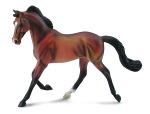 KLACZ THOROUGHBRED MAŚCI BAY, COLLECTA
