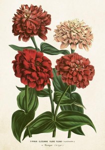 KARNET ST458 B6 + KOPERTA CYNIA