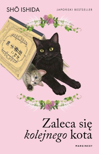 Zaleca się kolejnego kota, Sho Ishida