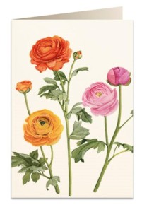 KARNET B6 + KOPERTA 5892 JASKIER