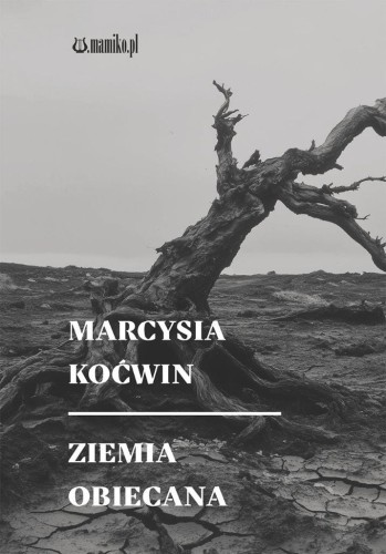 Ziemia obiecana, Marcysia Koćwin