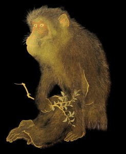 KARNET 17X14CM Z KOPERTĄ LACQUERWARE TRAY