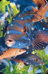 MINI KARTKA 3D WARGACZ TĘCZAK