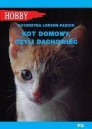 KOT DOMOWY CZYLI DACHOWIEC
