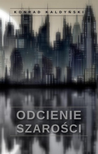 Odcienie szarości, Konrad Kaldyński