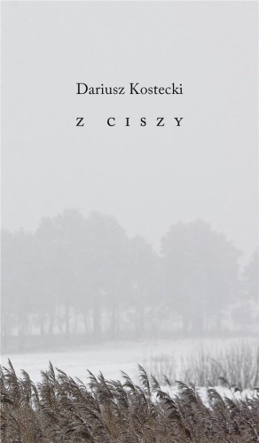 Z ciszy, Dariusz Kostecki