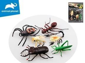 Owady 3x19x4cm 6szt, Madej