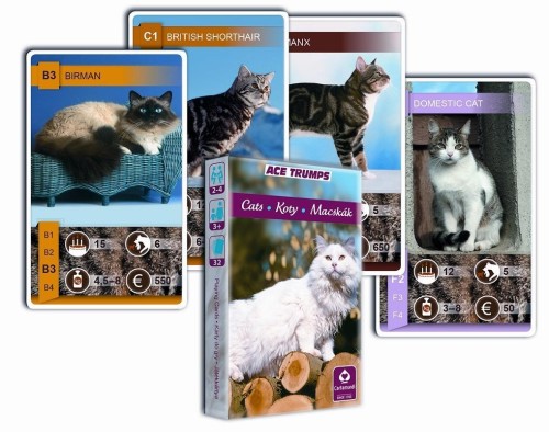 Karty do gry Koty CARTAMUNDI, Cartamundi