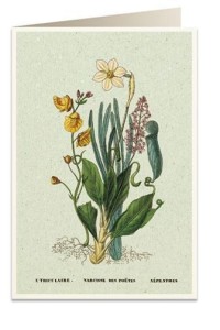 KARNET B6 + KOPERTA 6062 NARCYZ