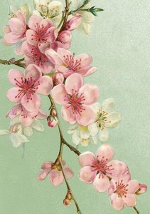 KARNET ST471 B6 + KOPERTA KWIATY WIŚNI