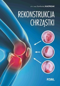 REKONSTRUKCJA CHRZĄSTKI, BARTŁOMIEJ KACPRZAK