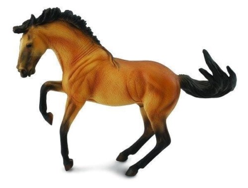 Ogier Lusitano Buckskin, Collecta
