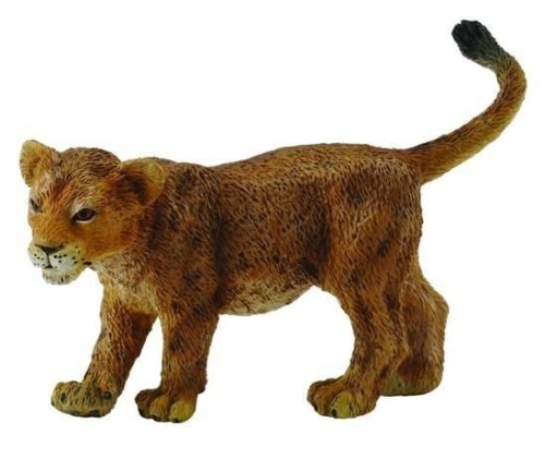 Lwiątko idące, Collecta