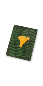 PIN GRZYB KURKA, KABAK