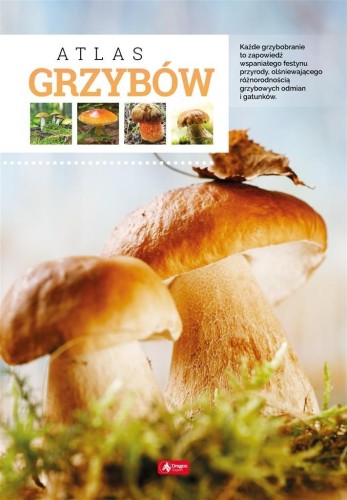 Atlas grzybów TW, Wiesław Kamiński