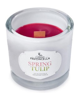 ŚWIECZKA SOJOWA SPRING TULIP BIAŁA 170G