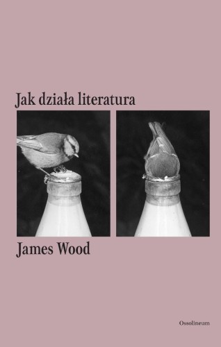 Jak działa literatura, James Wood
