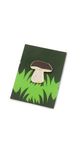 PIN BOROWIK, KABAK