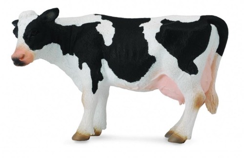 Krowa Friesian, Collecta