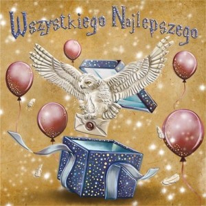 KARNET KW BIAŁA SOWA
