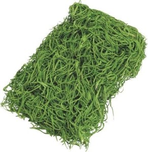 TRAWA DEKORACYJNA ZIELONA 20G