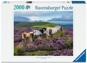 PUZZLE 2000 WILD HORSES IN THE HEATHER