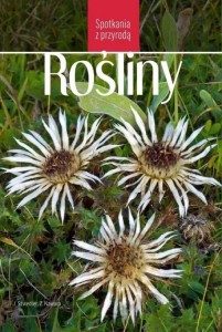 SPOTKANIA Z PRZYRODĄ. ROŚLINY