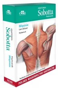 ANATOMIA SOBOTTA FLASHCARDS. MIĘŚNIE WYD.8