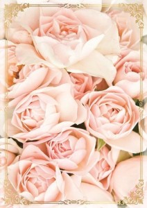 KARNET B6 PP-2144 KWIATY (BEZ TEKSTU)