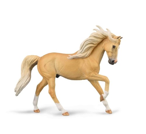 Ogier andaluzyjski maści Palomino, Collecta