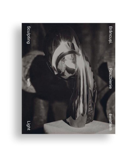 Brancusi. Rzeźbienie światłem, Brancusi