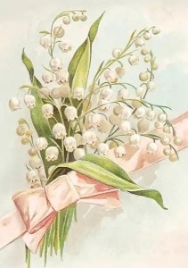 KARNET ST535 B6 + KOPERTA KONWALIE