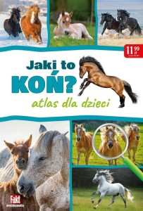 BUŁKI BAGIETKI, BAJGLE DOMOWY WYPIEK. FAKT RADZI