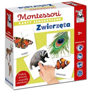 MONTESSORI. KARTY SENSORYCZNE. ZWIERZĘTA 2+