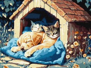 MALOWANIE PO NUMERACH - CISZA CZASU 30X40CM