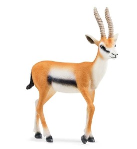 GAZELA THOMSONA, SCHLEICH