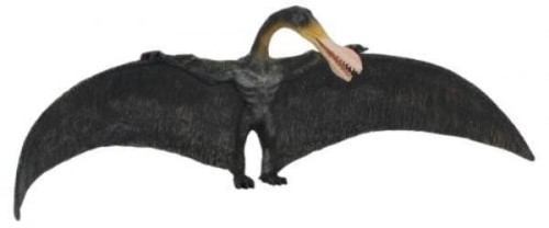 Dinozaur Ornitocheir, Collecta