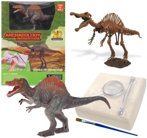 WYKOPALISKA PALEONTOLOG SZKIELET DINOZAURA, TRIFOX