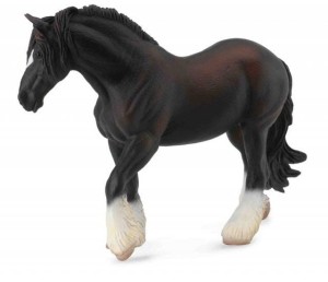 KLACZ RASY SHIRE CZARNA, COLLECTA