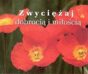 PEREŁKA 193 - ZWYCIĘŻAJ DOBROCIĄ I MIŁOŚCIĄ.