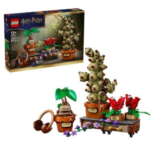 LEGO(R) HARRY POTTER 76474 Hogwarts Herbology...