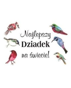 MAGNES - NAJLEPSZY DZIADEK, SZARON