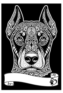 KOLOROWANKA WELWETOWA A4 DOBERMAN