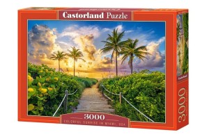 PUZZLE 3000 COLORFUL SUNRISE IN MIAMI, USA